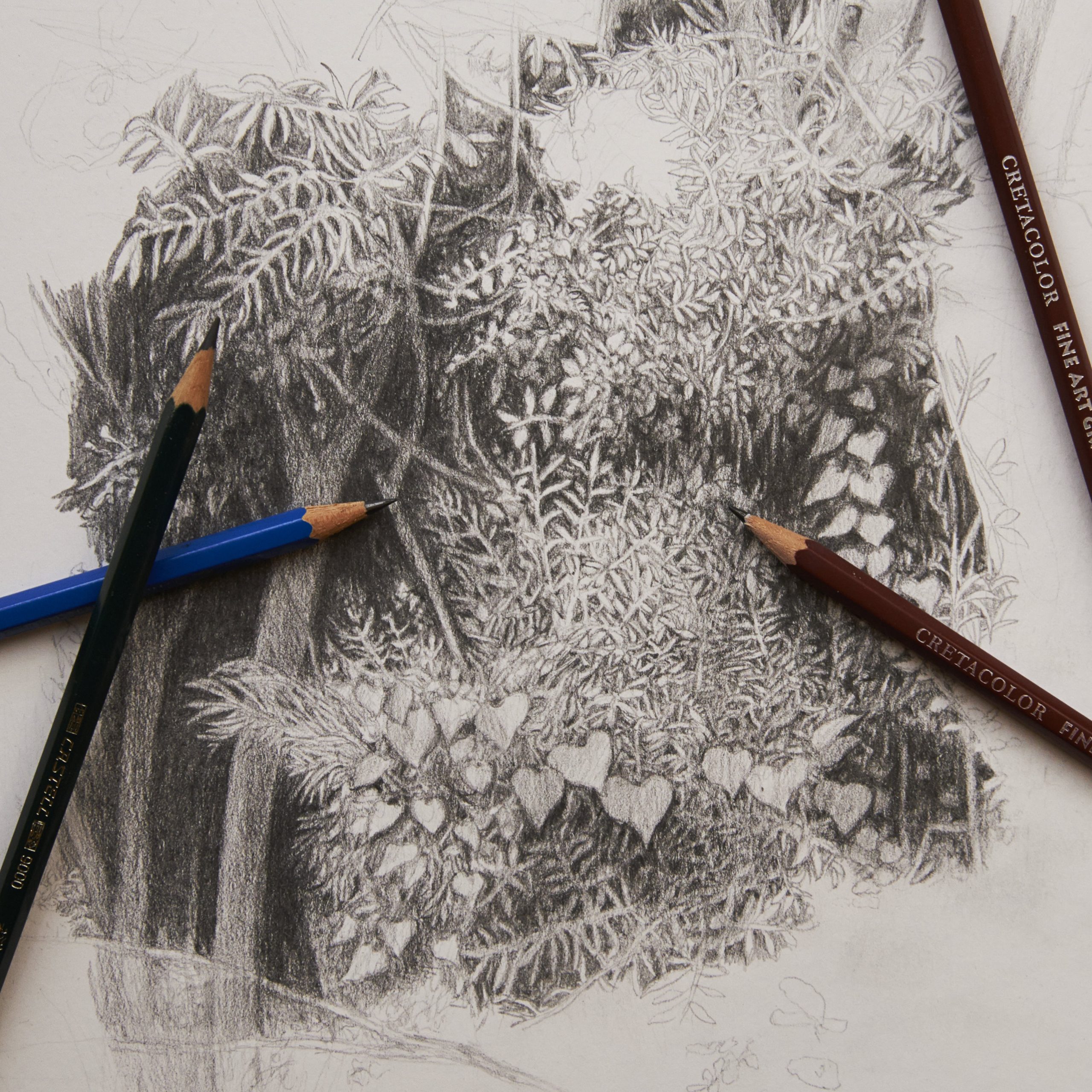 Detalle de dibujo a lápiz en curso de dibujo en Barcelona